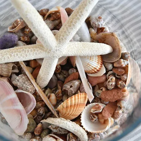 埃菲公寓 4* 德里奥斯