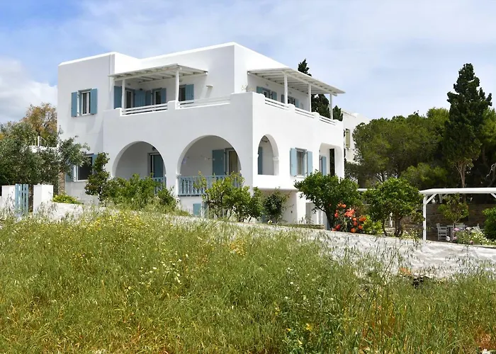 Πανσιόν Efi Δρυός